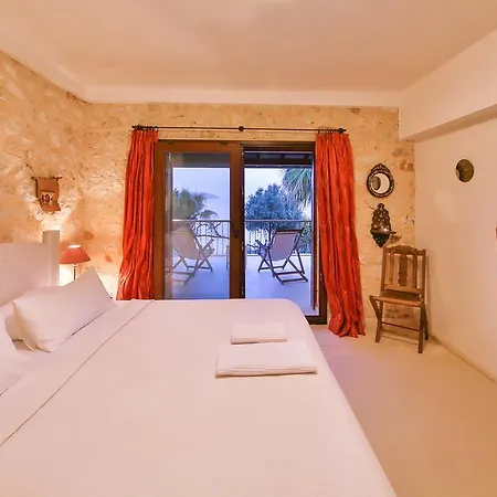 Kertenkele Kaş